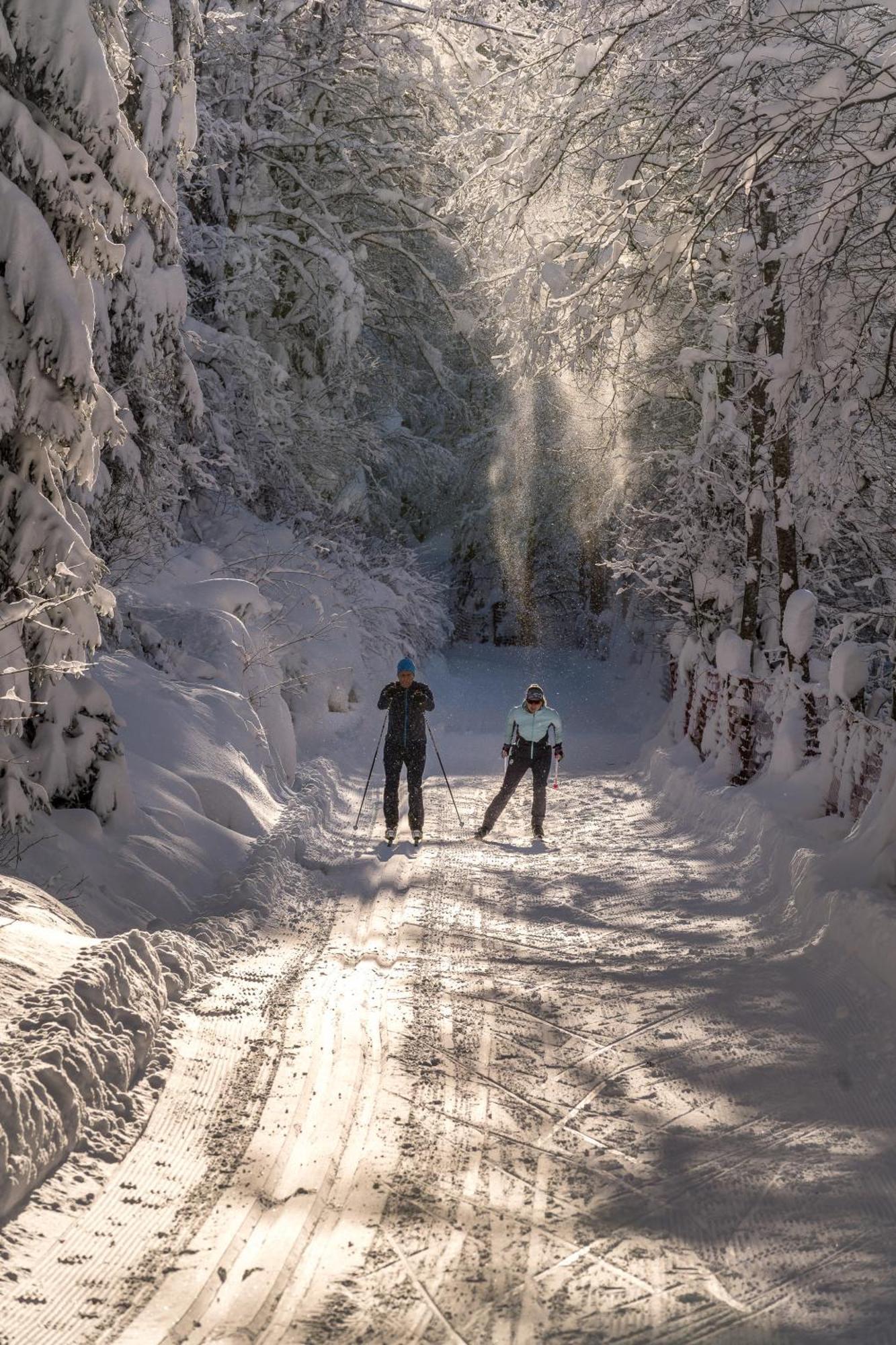 Natur- & Wanderhotel Tuxertal 외부 사진