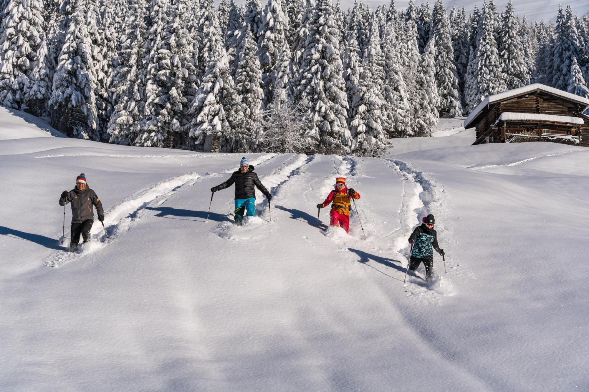 Natur- & Wanderhotel Tuxertal 외부 사진